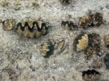 Отель для двоих