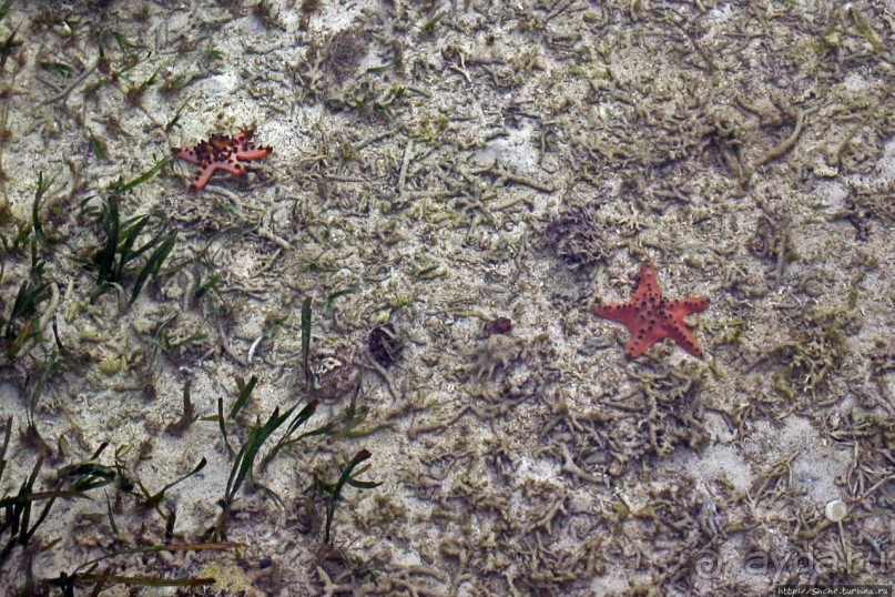 Отель для двоих