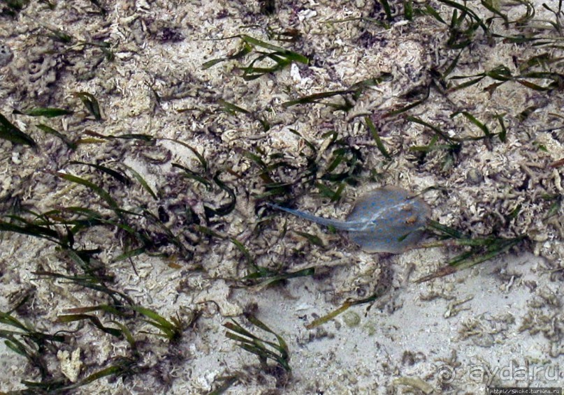 Отель для двоих