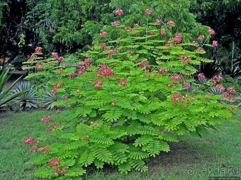 Отель для двоих