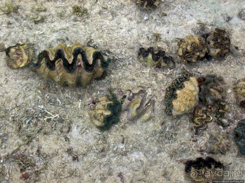 Отель для двоих