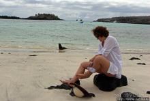 Галапогосы. Остров Санта Фе. Этап 1 — пешеходная прогулка