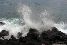 Галапогосы. Остров Санта Фе. Этап 1 — пешеходная прогулка