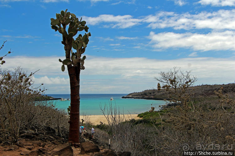 Галапогосы. Остров Санта Фе. Этап 1 — пешеходная прогулка