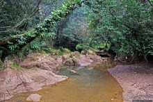 Полые скалы Вьетнама: золотые потолки пещеры Tu Lan