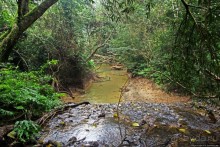 Полые скалы Вьетнама: золотые потолки пещеры Tu Lan