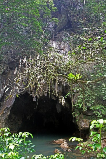 Полые скалы Вьетнама: золотые потолки пещеры Tu Lan