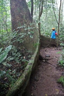 Полые скалы Вьетнама: золотые потолки пещеры Tu Lan