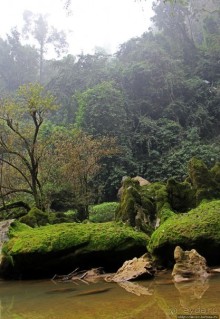 Полые скалы Вьетнама: золотые потолки пещеры Tu Lan