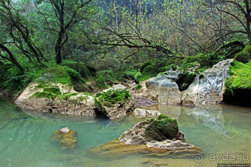 Полые скалы Вьетнама: золотые потолки пещеры Tu Lan
