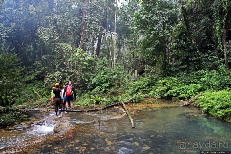 Полые скалы Вьетнама: золотые потолки пещеры Tu Lan