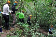 Полые скалы Вьетнама: золотые потолки пещеры Tu Lan