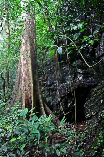 Полые скалы Вьетнама: золотые потолки пещеры Tu Lan