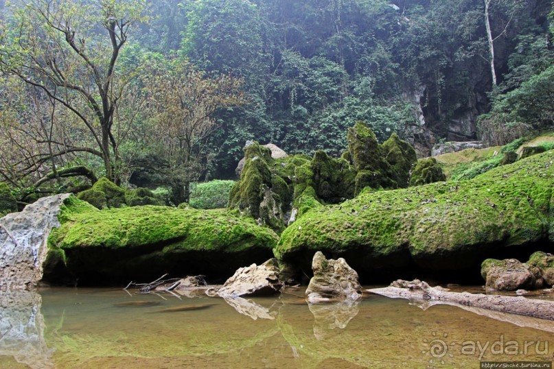 Полые скалы Вьетнама: золотые потолки пещеры Tu Lan
