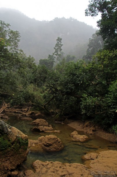 Полые скалы Вьетнама: золотые потолки пещеры Tu Lan
