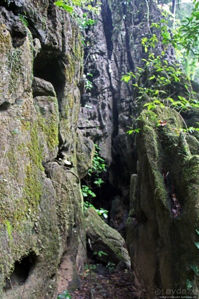 Полые скалы Вьетнама: золотые потолки пещеры Tu Lan