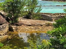 Сейшелы — остров сокровищ? Стоянка пиратов на Маэ