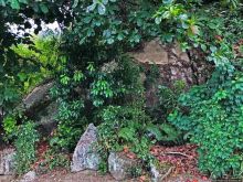 Сейшелы — остров сокровищ? Стоянка пиратов на Маэ