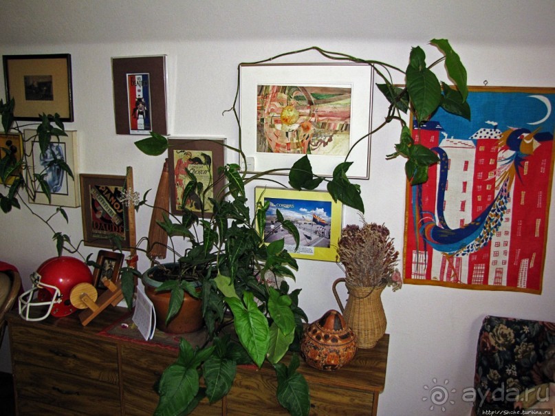 Здесь главное — убрать продукты из авто от медведей