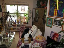 Альбом отзыва "Здесь главное — убрать продукты из авто от медведей"