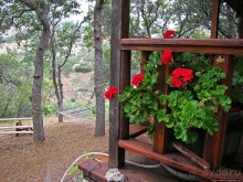 Альбом отзыва "Здесь главное — убрать продукты из авто от медведей"