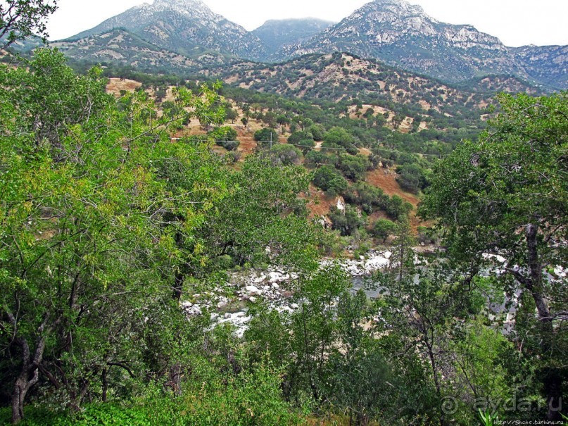 Здесь главное — убрать продукты из авто от медведей