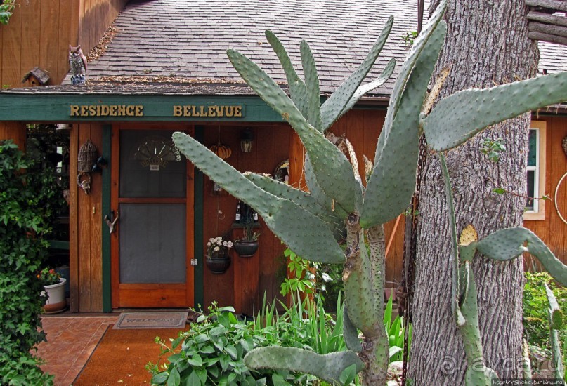 Здесь главное — убрать продукты из авто от медведей