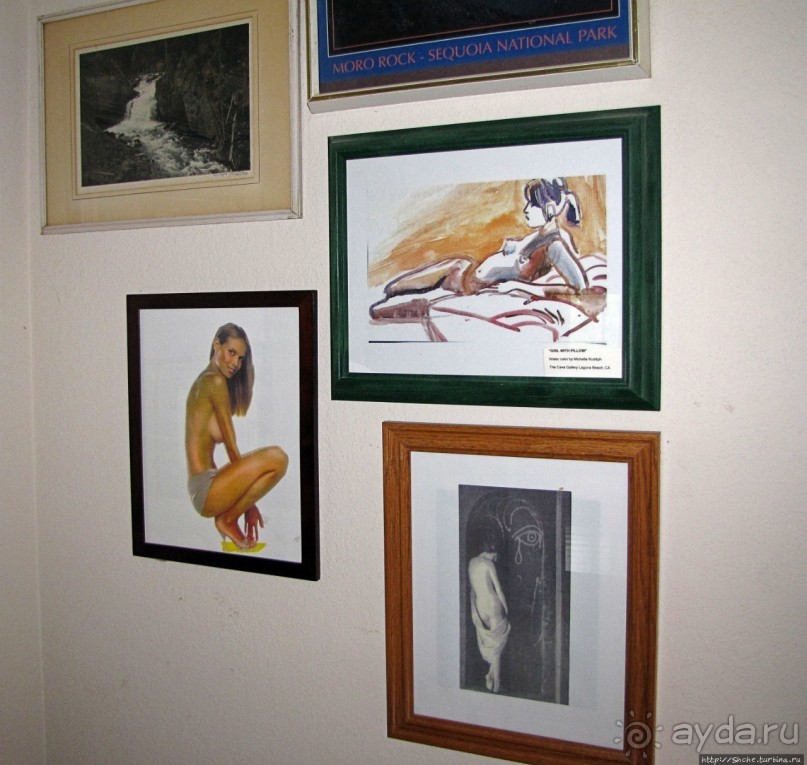 Здесь главное — убрать продукты из авто от медведей