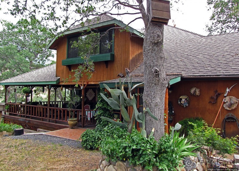 Здесь главное — убрать продукты из авто от медведей