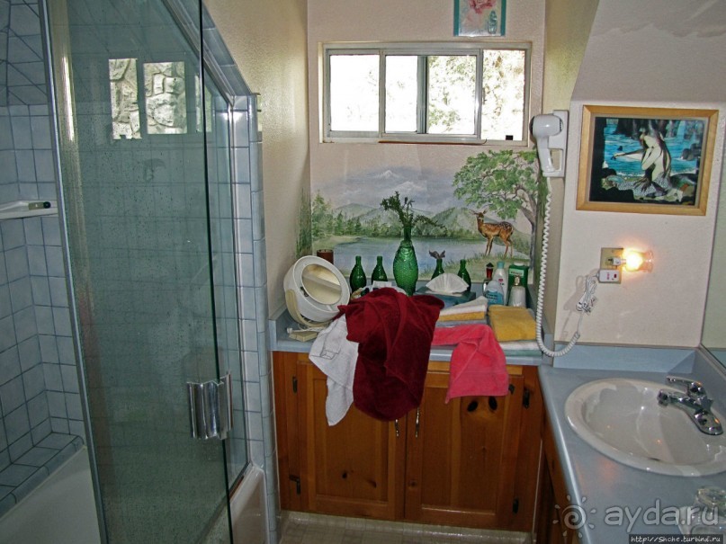 Здесь главное — убрать продукты из авто от медведей