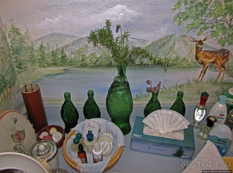 Здесь главное — убрать продукты из авто от медведей