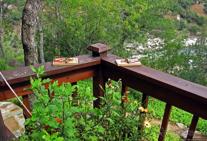 Здесь главное — убрать продукты из авто от медведей