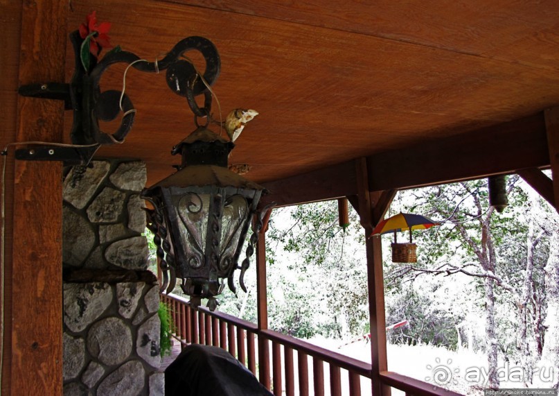 Здесь главное — убрать продукты из авто от медведей