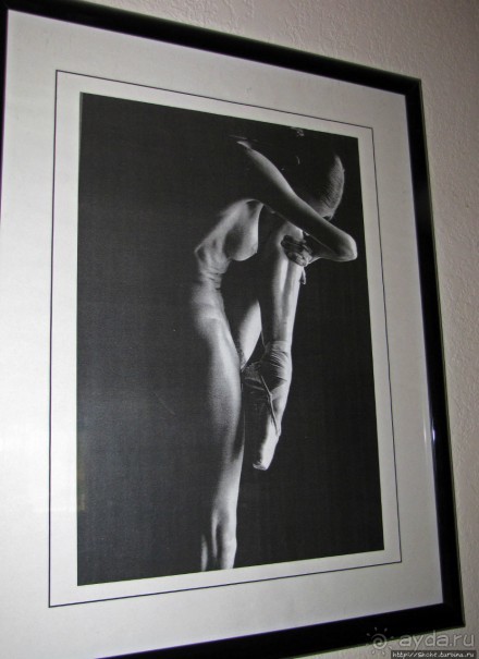 Здесь главное — убрать продукты из авто от медведей