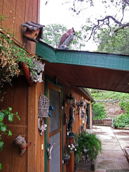 Здесь главное — убрать продукты из авто от медведей