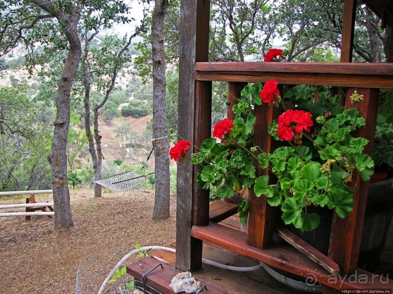 Здесь главное — убрать продукты из авто от медведей