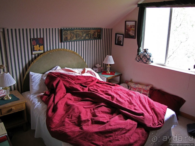 Здесь главное — убрать продукты из авто от медведей