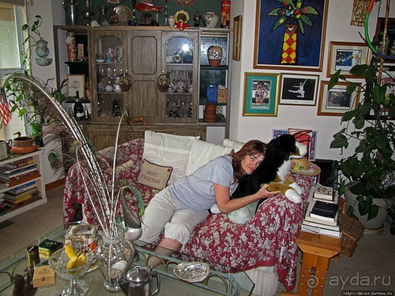 Здесь главное — убрать продукты из авто от медведей