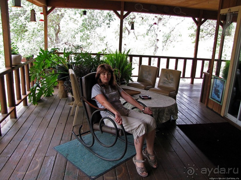 Здесь главное — убрать продукты из авто от медведей