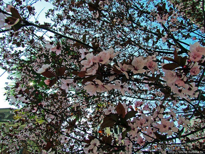 Весь Пирей — от узких улочек до широких проспектов