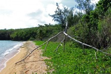 Laulau Bay — дикий залив для дайверов и усталых путников