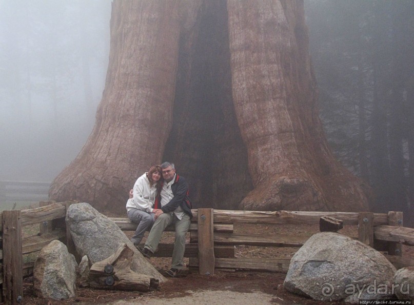 Паша, Витя, елки!!! Елки!!!