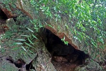 Заглянули в пещеру Калабера