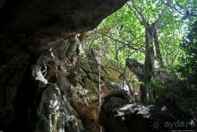 Заглянули в пещеру Калабера