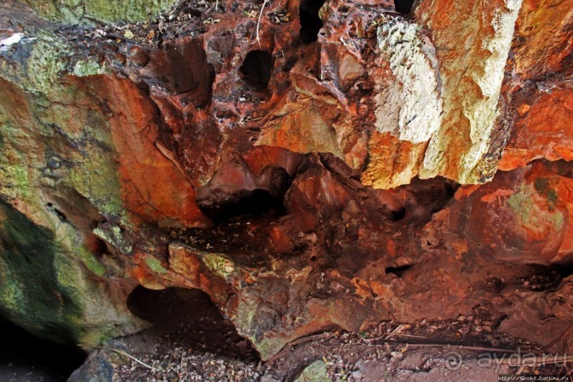 Заглянули в пещеру Калабера