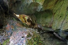 Заглянули в пещеру Калабера