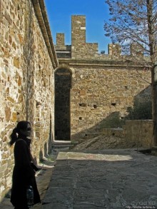 Приключения японцев в Украине