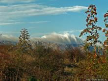 Приключения японцев в Украине