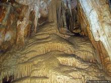 Приключения японцев в Украине