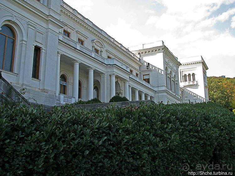 Приключения японцев в Украине